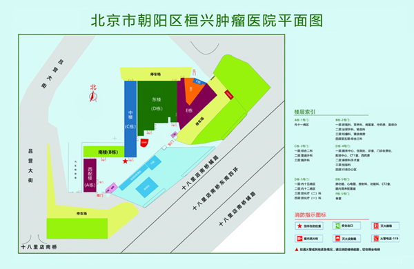 俄罗斯骚货自慰北京市朝阳区桓兴肿瘤医院平面图